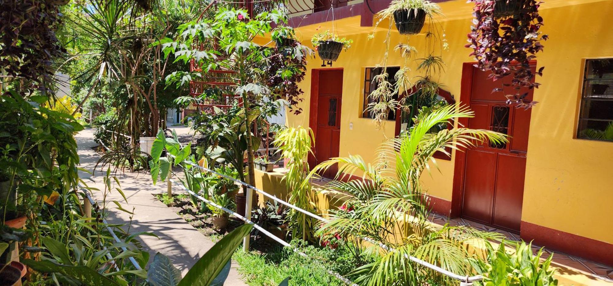 Hospedaje Santo Domingo Panajachel Dış mekan fotoğraf